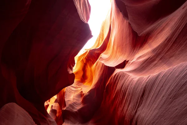 Lower Antelope Canyon Arizona Posto Più Bello Del Deserto Fotografia — Foto Stock