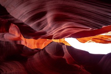 Antilop Kanyonu - kumtaşı kayalarının inanılmaz renkleri - seyahat fotoğrafçılığı