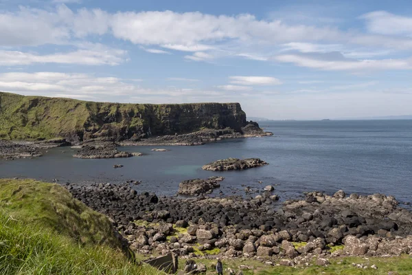 Causeway Des Géants Point Repère Populaire Irlande Nord Photographie Voyage — Photo