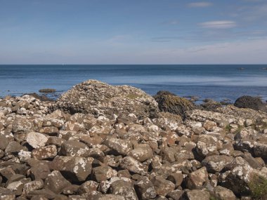 Kuzey İrlanda'da Giants Causeway Ünlü kayalar - seyahat fotoğrafçılığı