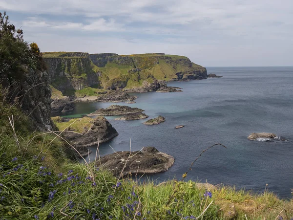 화창한 북아일랜드의 놀라운 코즈웨이 코스트 — 스톡 사진