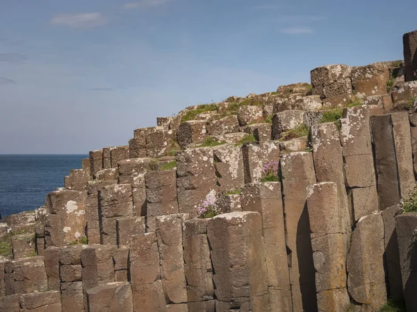 Διάσημοι Βράχοι Του Κόζαντς Στη Βόρεια Ιρλανδία Φωτογράφιση Ταξιδιών — Φωτογραφία Αρχείου