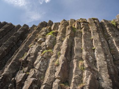 Kuzey İrlanda'da Giants Causeway tipik kaya oluşumları - seyahat fotoğrafçılığı