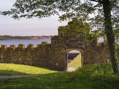 Belfast yakınlarındaki Kuzey İrlanda'da Castle Ward popüler bir dönüm noktası - seyahat fotoğrafçılığı