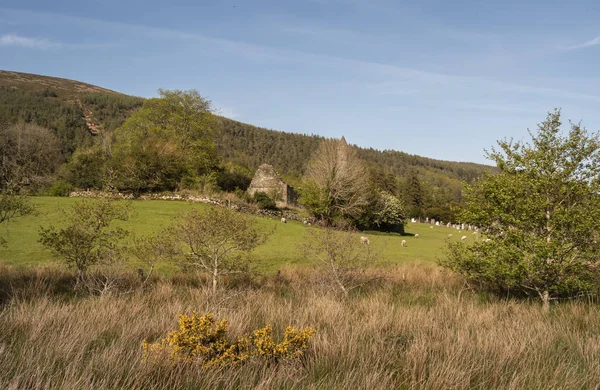 Las Hermosas Montañas Wicklow Irlanda Fotografías Viajes — Foto de Stock