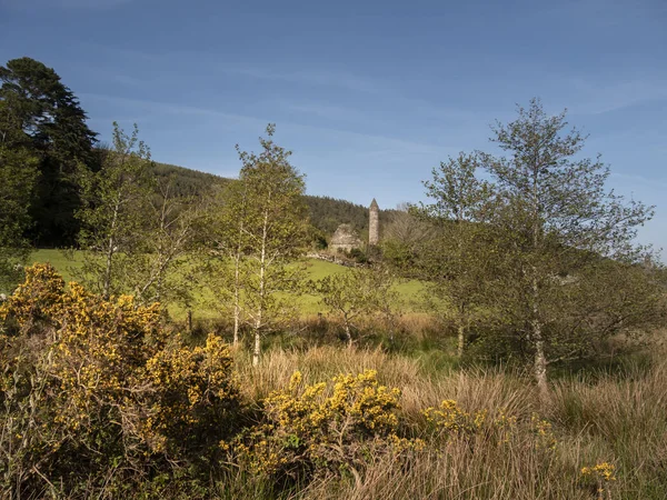 Красивый Пейзаж Глендалоу Горах Уиклоу Ирландии Фотографии Света — стоковое фото