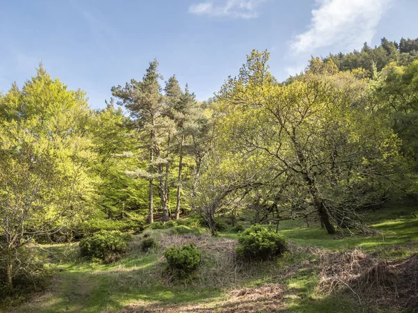 Beautiful Landscape Glendalough Wicklow Mountains Ireland Travel Photography — Stock Photo, Image