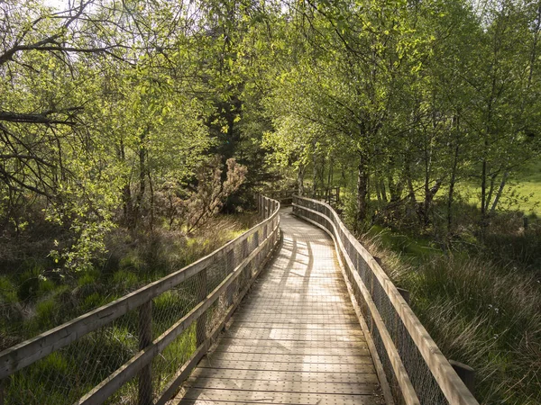 Beautiful Landscape Glendalough Wicklow Mountains Ireland Travel Photography — Stock Photo, Image