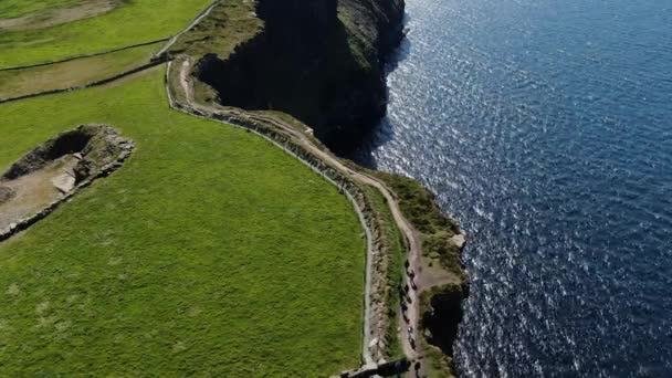 Cliffs Moher Kustnära Promenad Från Ovan Antenn Drone Footage — Stockvideo