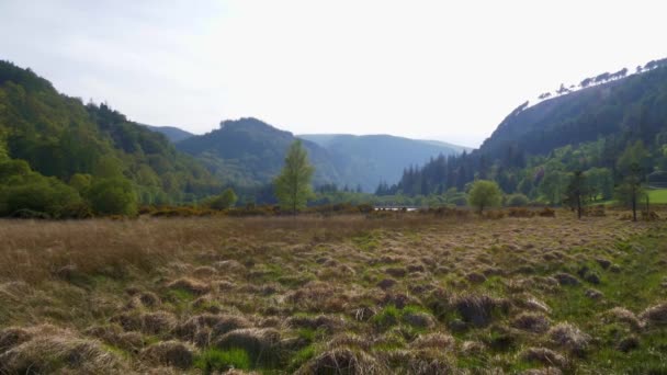 爱尔兰美丽的威克洛山脉 — 图库视频影像