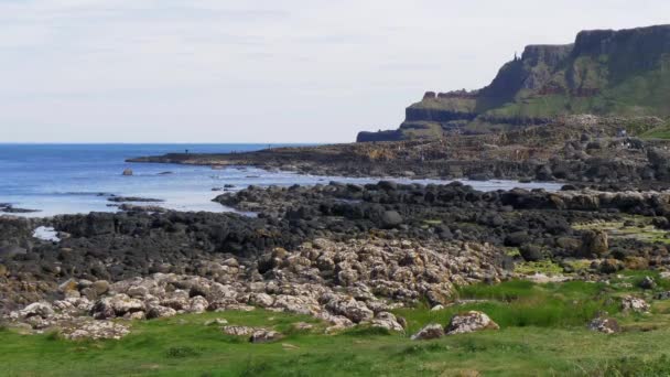 Belos Gigantes Causeway Coast Irlanda Norte — Vídeo de Stock