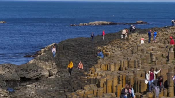 Gente Sube Las Rocas Famosa Calzada Los Gigantes Irlanda Del — Vídeos de Stock