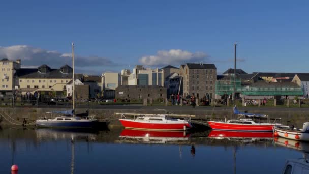 Pequeños Barcos Galway Claddagh Galway Claddagh Irlanda Mayo 2019 — Vídeos de Stock