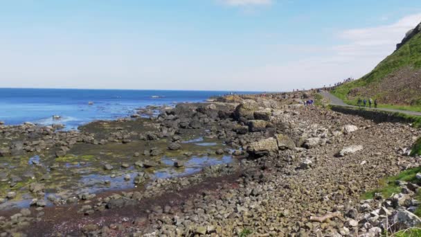 Giants Causeway Popular Landmark Northern Ireland Travel Photography — Stock Video