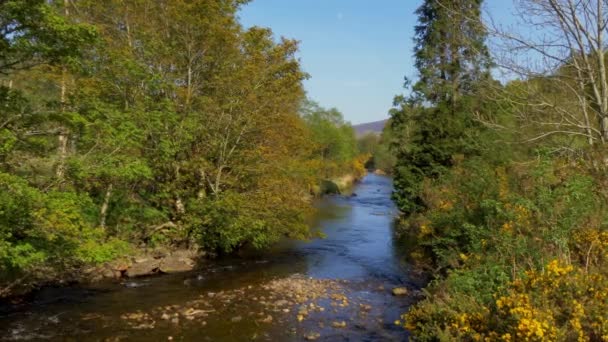 Kleine Kreek Art Glendalough Wicklow Mountains Ierland — Stockvideo