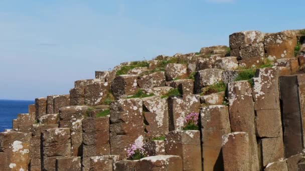 Słynne Skały Grobli Olbrzymów Irlandii Północnej — Wideo stockowe