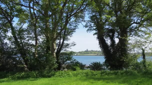 Prachtige Natuur Rondom Castle Ward Noord Ierland — Stockvideo