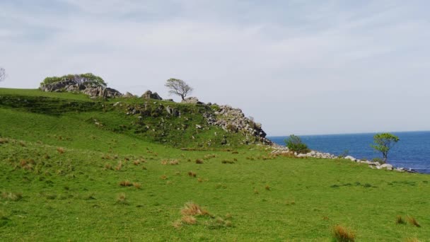 Murlough Bay Észak Írországban Légi Felvétel Utazási Koncepció — Stock videók