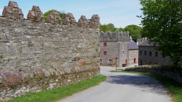 Famosa Ubicación Rodaje Castle Ward Irlanda Del Norte Cerca Belfast — Vídeo de stock