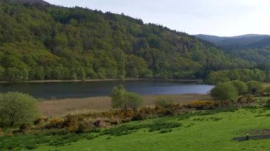 Wicklow Dağları'nda Inanılmaz yeşil İrlanda çayırları  