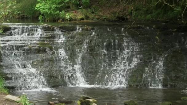 Cascade Glencar Irlande Séquences Voyage — Video