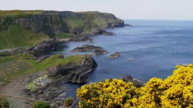 Kuzey İrlanda'da Murlough Bay - havadan görüntü görüntüleri - seyahat konsepti