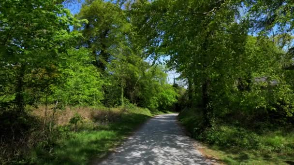 北爱尔兰城堡区周围美丽的自然风光 — 图库视频影像