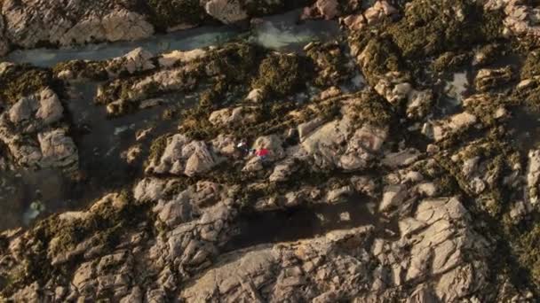 Deux Filles Marchent Long Bord Des Célèbres Falaises Moher — Video