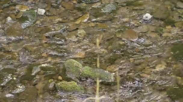 アイルランドのグレンカー滝 旅行映像 — ストック動画