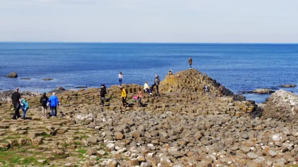 Orang Orang Memanjat Batu Giants Causeway Yang Terkenal Irlandia Utara — Stok Video