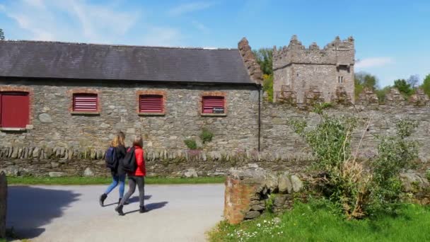 Castle Ward Irlandii Północnej Pobliżu Belfastu Jest Popularnym Zabytkiem — Wideo stockowe