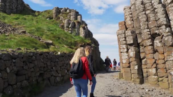 Dos Chicas Caminan Largo Del Borde Los Famosos Acantilados Moher — Vídeos de Stock