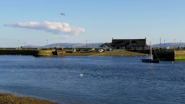 Boote Hafen Von Galway Claddagh — Stockvideo