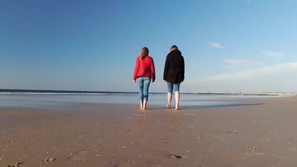 Dwie Dziewczyny Chodzą Wzdłuż Brzegu Słynnych Klifów Moher — Wideo stockowe