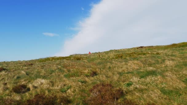 Ung Kvinna Njuter Den Underbara Gröna Naturen Irland — Stockvideo