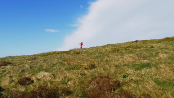 Jovem Desfrutando Maravilhosa Natureza Verde Irlanda — Vídeo de Stock