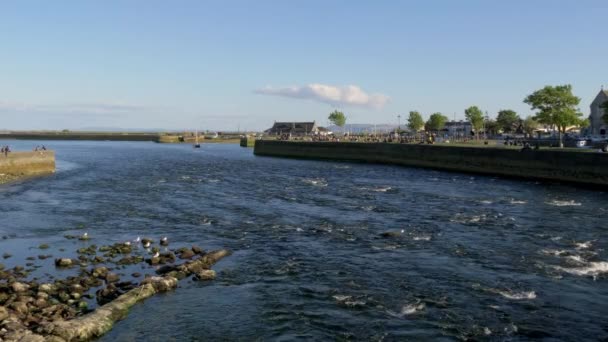 Boote Hafen Von Galway Claddagh — Stockvideo