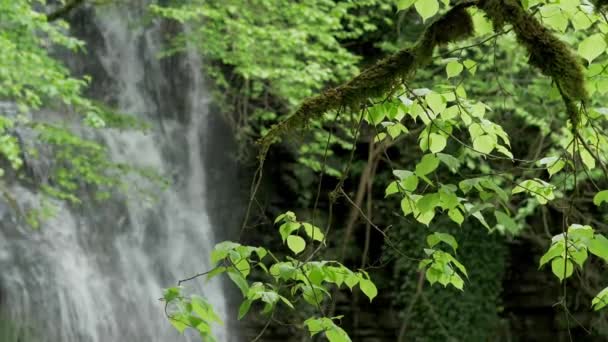 Fiatal Élvezi Gyönyörű Természet Írországban — Stock videók