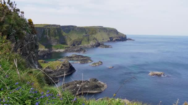 沿着爱尔兰著名的母亲悬崖飞行 — 图库视频影像