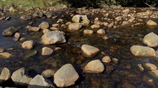 Kecil Sungai Pegunungan Wicklow Irlandia — Stok Video