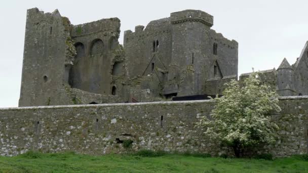 Berühmter Felsen Von Cashel Irland Reiseaufnahmen — Stockvideo