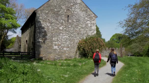 Замок Вард Северной Ирландии Недалеко Белфаста Является Популярной Достопримечательностью Фотографии — стоковое видео
