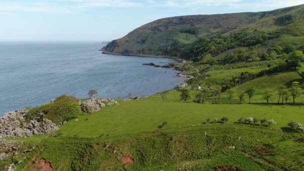 Flyg Över Murlough Bay Norra Irland Ett Vackert Landmärke — Stockvideo