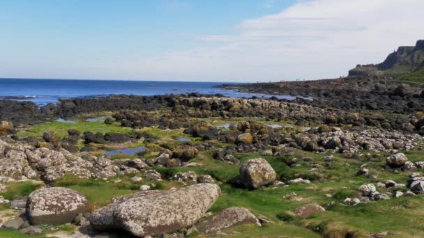 Giants Causeway Kuzey Rlanda Popüler Bir Dönüm Noktası — Stok video