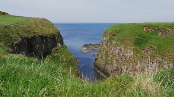 Viaggio Alla Causeway Coast Castello Dunseverick — Video Stock