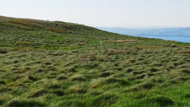 Amazing Binevenagh Cliffs Northern Ireland — Stock Video