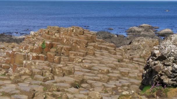 Typowe Formacje Skalne Grobli Olbrzymów Irlandii Północnej — Wideo stockowe
