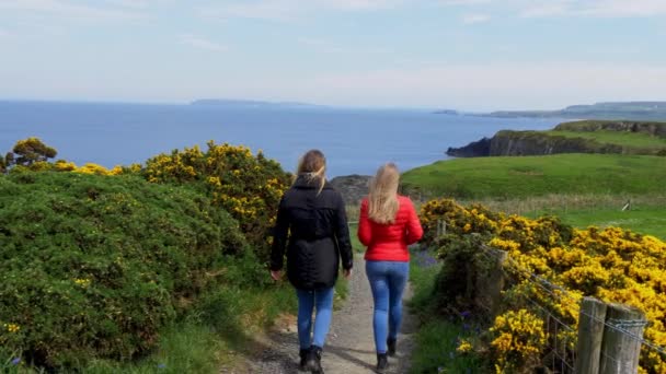 Dos Jóvenes Caminan Largo Costa Calzada Irlanda Del Norte — Vídeos de Stock