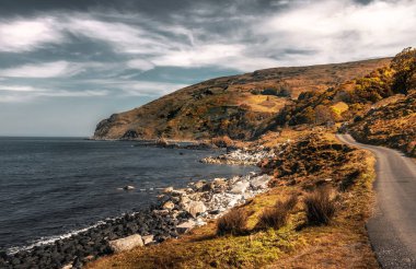 Murlough Bay Kuzey İrlanda - Güzel Sanatlar Fotoğraf