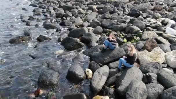 Murlough Bay Noord Ierland Bovenaanzicht Reisfotografie — Stockvideo